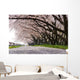 Cherry Blossom Wall Decal Design 2