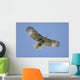 Juvenile Red-tailed Hawk Buteo Wall Decal