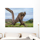 Komodo Dragons are fighting each other. Very rare picture. Indonesia. Komodo National Park. An excellent illustration. Wall Mural