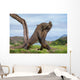 Komodo Dragons are fighting each other. Very rare picture. Indonesia. Komodo National Park. An excellent illustration. Wall Mural