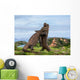 Komodo Dragons are fighting each other. Very rare picture. Indonesia. Komodo National Park. An excellent illustration. Wall Mural