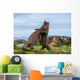 Komodo Dragons are fighting each other. Very rare picture. Indonesia. Komodo National Park. An excellent illustration. Wall Mural