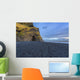The black sand beach of Reynisfjara, nature Wall Mural