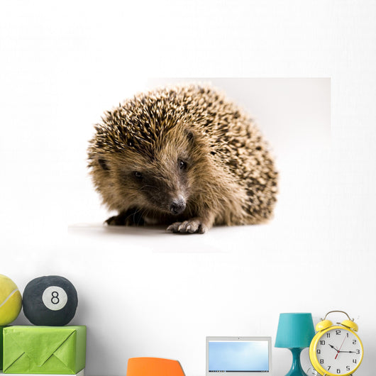 Hedgehog Wall Decal