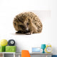 Hedgehog Wall Decal