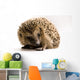 Hedgehog Wall Decal
