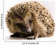Hedgehog Wall Decal