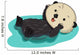 Sea Otter Water Float Wall Decal