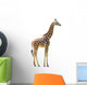 Photographic Safari Giraffe Wall Decal