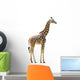 Photographic Safari Giraffe Wall Decal