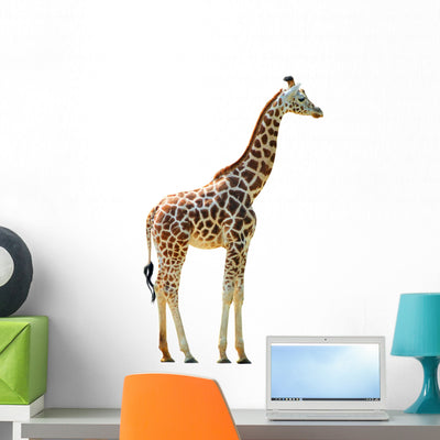 Photographic Safari Giraffe Wall Decal shown on a wall