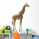 Photographic Safari Giraffe Wall Decal