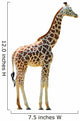 Photographic Safari Giraffe Wall Decal