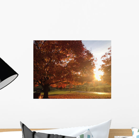 Bright Fall Morn Wall Decal