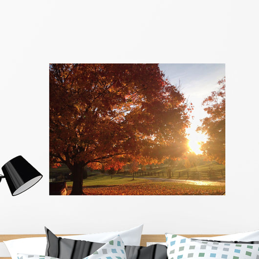 Bright Fall Morn Wall Decal