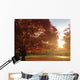 Bright Fall Morn Wall Decal
