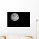 Great Bear Moon and Wall Decal