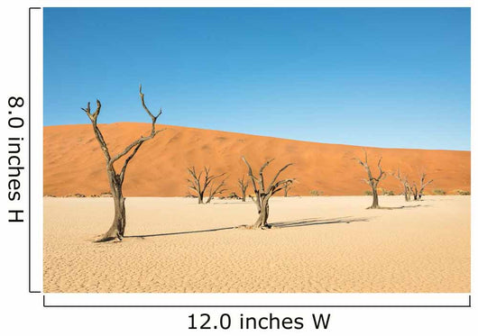 Dry Desert Trees Wall Decal
