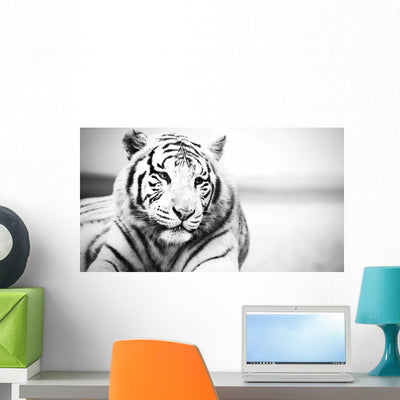 White Tiger Wall Decal shown on a wall