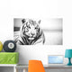 White Tiger Wall Decal