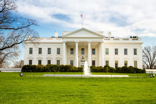 White House Wall Decal