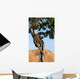 Komodo dragon climbed a tree. Very rare picture. Indonesia. Komodo National Park. An excellent illustration. Wall Mural
