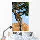 Komodo dragon climbed a tree. Very rare picture. Indonesia. Komodo National Park. An excellent illustration. Wall Mural