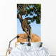 Komodo dragon climbed a tree. Very rare picture. Indonesia. Komodo National Park. An excellent illustration. Wall Mural