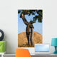 Komodo dragon climbed a tree. Very rare picture. Indonesia. Komodo National Park. An excellent illustration. Wall Mural
