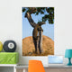 Komodo dragon climbed a tree. Very rare picture. Indonesia. Komodo National Park. An excellent illustration. Wall Mural