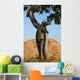 Komodo dragon climbed a tree. Very rare picture. Indonesia. Komodo National Park. An excellent illustration. Wall Mural