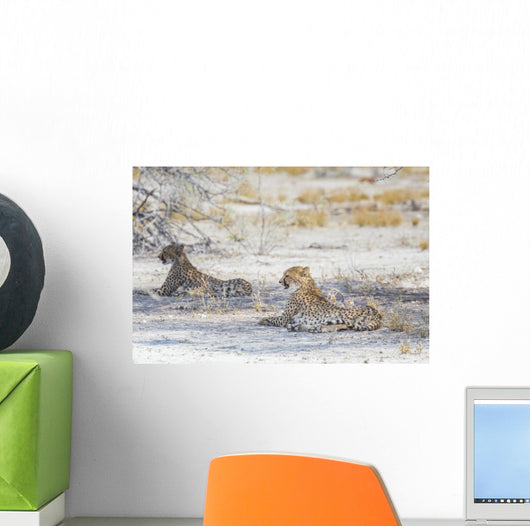 Two Cheetahs Etosha National Wall Decal