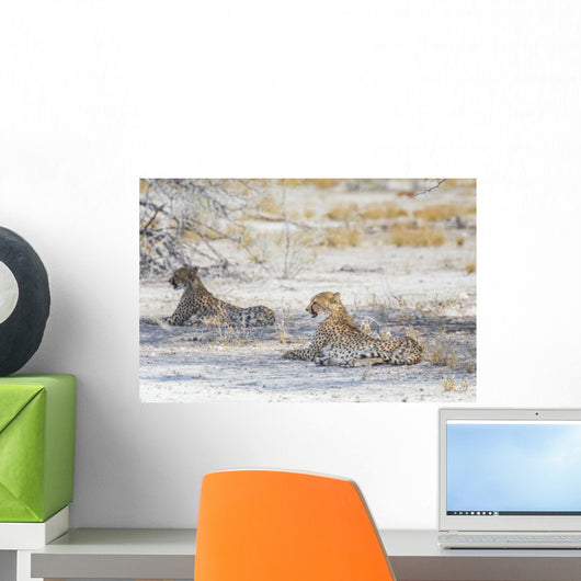 Two Cheetahs Etosha National Wall Decal