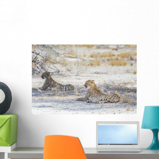 Two Cheetahs Etosha National Wall Decal