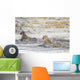 Two Cheetahs Etosha National Wall Decal