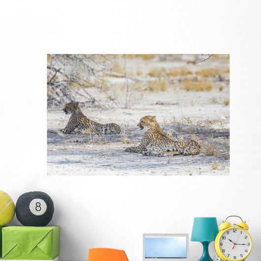 Two Cheetahs Etosha National Wall Decal
