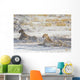 Two Cheetahs Etosha National Wall Decal