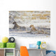 Two Cheetahs Etosha National Wall Decal