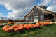 Pumpkin Barn Wall Decal