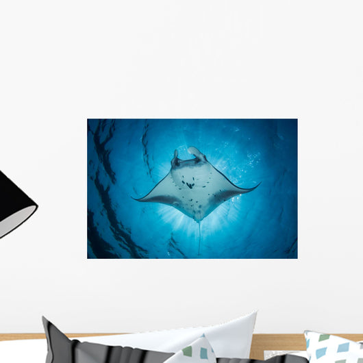 Swimming Manta Ray Wall Decal