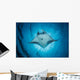 Swimming Manta Ray Wall Decal
