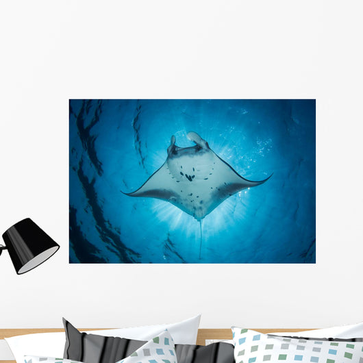 Swimming Manta Ray Wall Decal