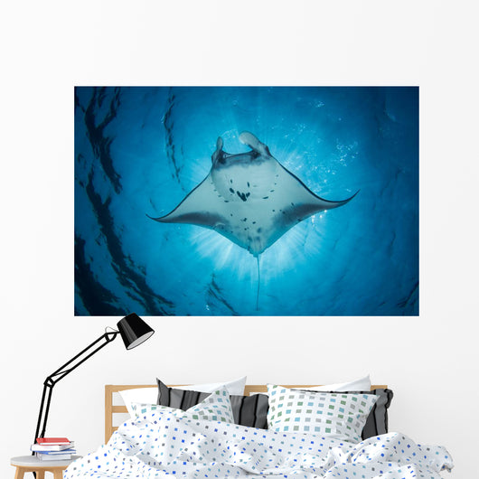 Swimming Manta Ray Wall Decal