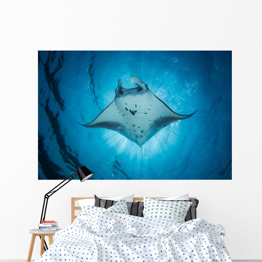 Swimming Manta Ray Wall Decal