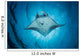 Swimming Manta Ray Wall Decal