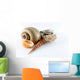 Assorted Seashells Wall Decal