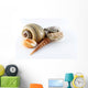 Assorted Seashells Wall Decal