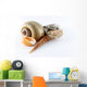 Assorted Seashells Wall Decal