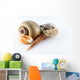 Assorted Seashells Wall Decal