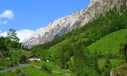 Chalet Detached Mountain Wall Decal